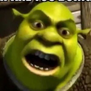 Meet your Posher, Logan